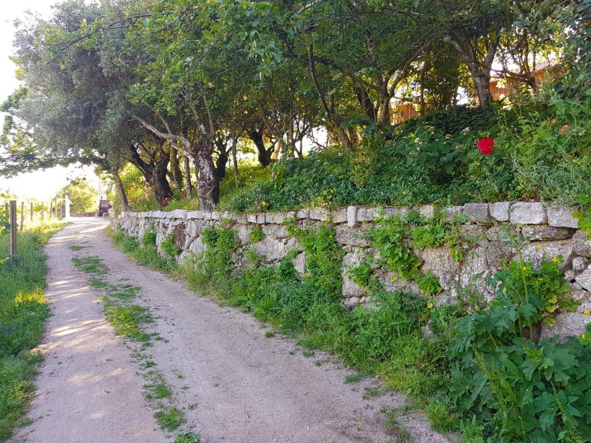 בית הארחה ויירה דו מיניו 	Quinta Da Penela מראה חיצוני תמונה